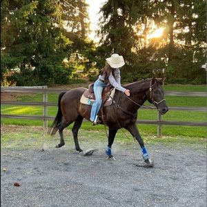 Meet your Posher, Abbey